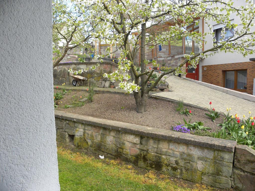 Hotel Thueringer Hof à Richelsdorf Extérieur photo